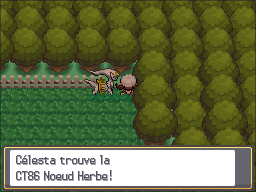 Fichier:Route 11 CT86 HGSS.png
