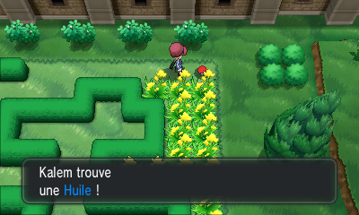 Fichier:Route 4 Huile XY.png