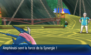 Synergie USUL.png