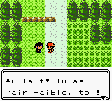 Fichier:Route 30 Gamin Gaspard OA.png
