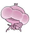 Fichier:Sprite 0593 ♀ dos XY.png