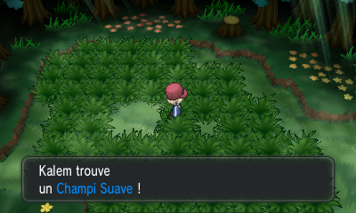 Fichier:Route 20 Champi Suave XY.png
