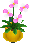 Fichier:Jolies Fleurs ROSA.png