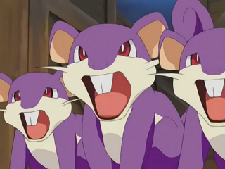 Fichier:EP274 - Rattata.png