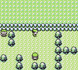 Gamin Route 25.png