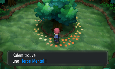Fichier:Route 20 Herbe Mental XY.png