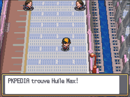 Fichier:Route 17 Huile Max HGSS.png