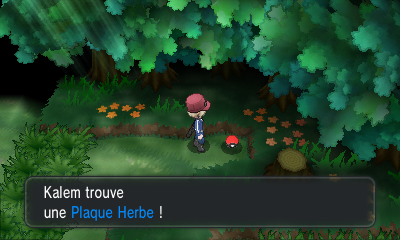 Fichier:Route 20 Plaque Herbe XY.png