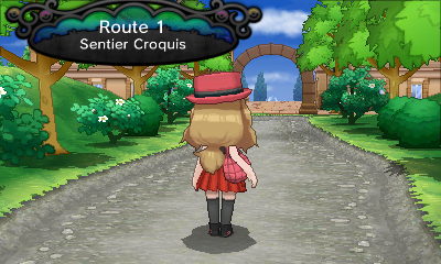 Fichier:Route 1 XY.png