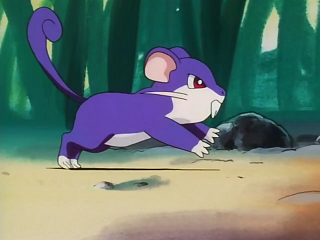 Fichier:EP001 - Rattata.png