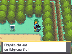 Fichier:Route 36 Noigrume Blu HGSS.png