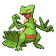 Fichier:Sprite 0254 HGSS.png