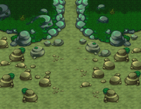 L'entrée de la falaise (vue d'ensemble dans Pokémon Donjon Mystère Explorateurs du Temps et de l'Ombre).