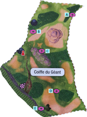 Localisation des antres de la Coiffe du Géant