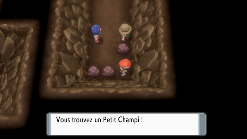 Fichier:Grotte des Égarés Petit Champi DEPS.png