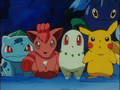 Pikachu (de Sacha), Bulbizarre (de Sacha), Germignon (de Sacha), Scarhino (de Sacha) et Goupix (de Pierre)