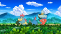 Crocrodil, Azumarill, Couaneton et Octillery (sauvage)