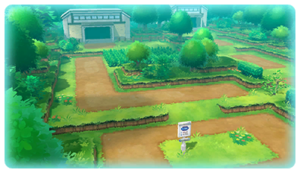 Route 2 (Kanto) LGPE.png