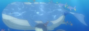 Wailord XY001.png