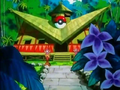 Un centre Pokémon exotique