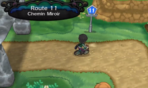 Route 11 XY.png