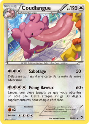 Carte XY Poings Furieux 79.png