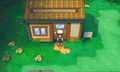 La maison du joueur dans Pokémon Rubis Oméga et Saphir Alpha.