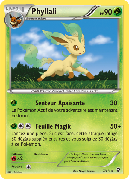 Fichier:Carte XY Poings Furieux 7.png