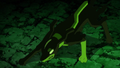 ◄ ► Zygarde (forme 10 %, rouge) (sauvage)
