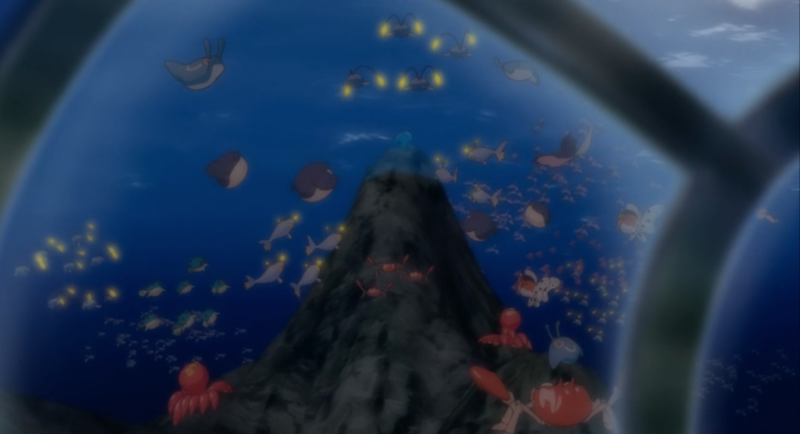 Fichier:Octillery sauvages Film 9.png
