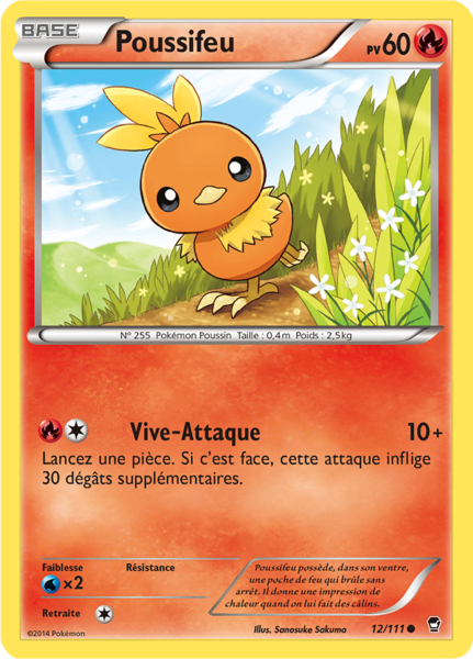 Fichier:Carte XY Poings Furieux 12.png