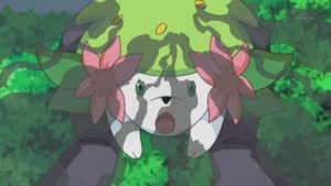 Shaymin Fulmigraine.png