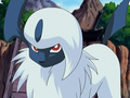 Absol (sauvage)