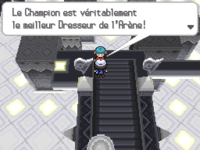 « Champion », « Dresseur » et « Arène » dans Pokémon Noir et Blanc.