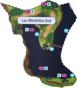 Localisation des antres du Lac Milobellus Sud