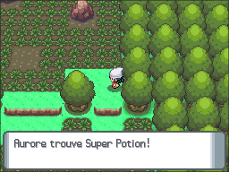 Grand Marais Super Potion DP.png