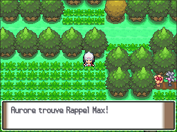 Route 221 Rappel Max Pt.png