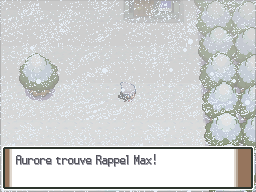 Route 217 Rappel Max Pt.png