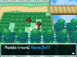 Fichier:Route 3 Rapide Ball N2B2.png