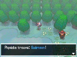 Route 8 Guérison 2 NB.png