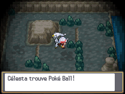 Antre Noir Poké Ball HGSS.png