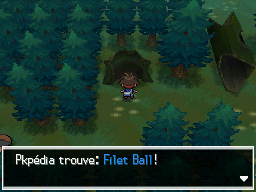 Fichier:Forêt d'Empoigne Filet Ball N2B2.png