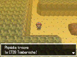 Désert Délassant CT39 NB.png