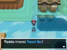 Flocombe Rappel Max NB.png