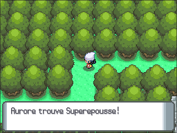 Grand Marais Superepousse DP.png