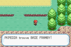 Fichier:Route 4 Baie Framby RFVF.png