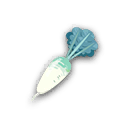 Fichier:Miniature Radis des Plages LPA.png