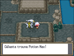Mont Creuset Potion Max 2 HGSS.png