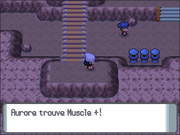 Route 207 Muscle + DP.png