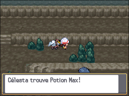 Mont Creuset Potion Max HGSS.png